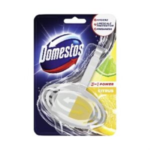 Kostka Domestos WC koszyk